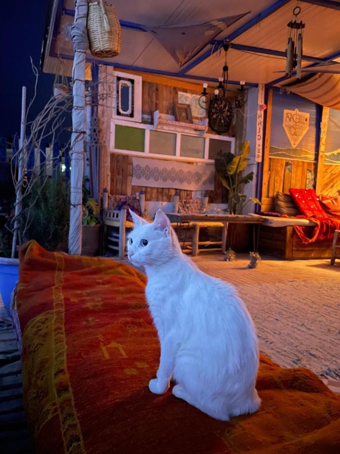 Tamraght Agachill Surf House Bed & Breakfast エクステリア 写真